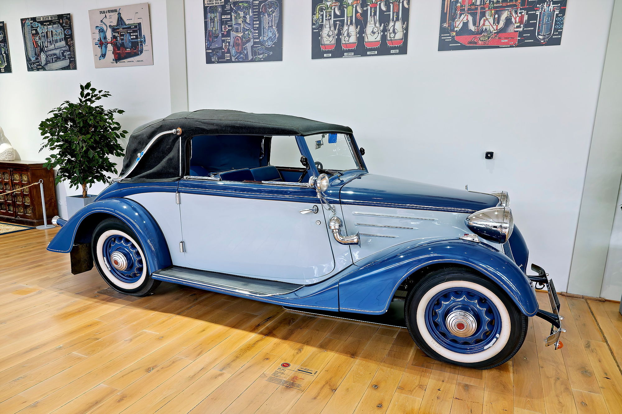 _7010864_DxOfuego rojo