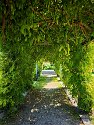 IMG_20250812_112738_DxO_Radiant