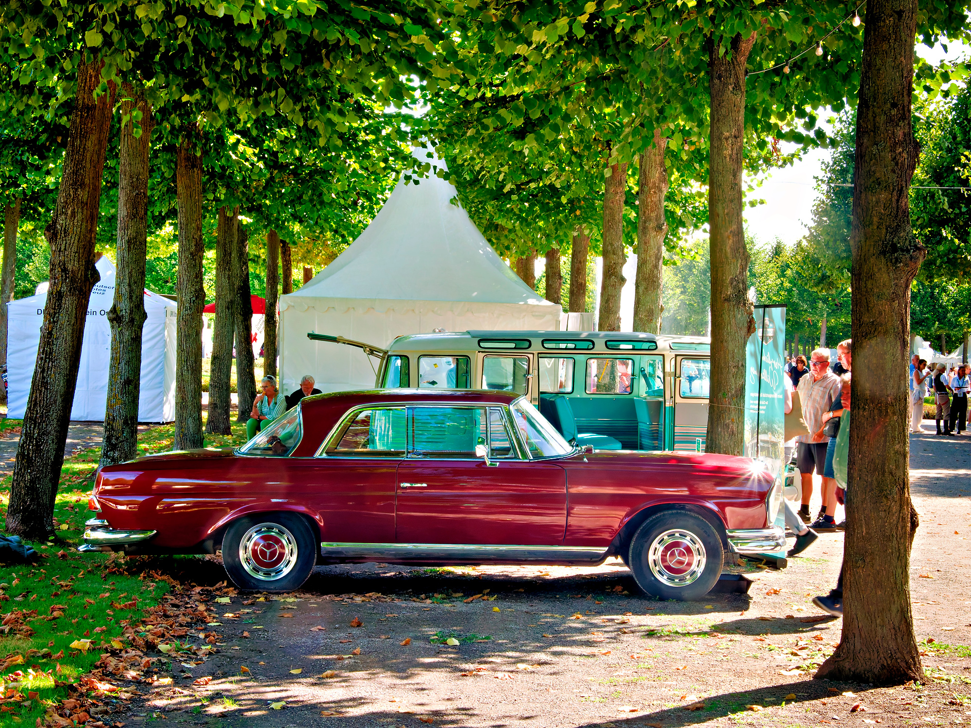 P9061163_DxO_Radiant