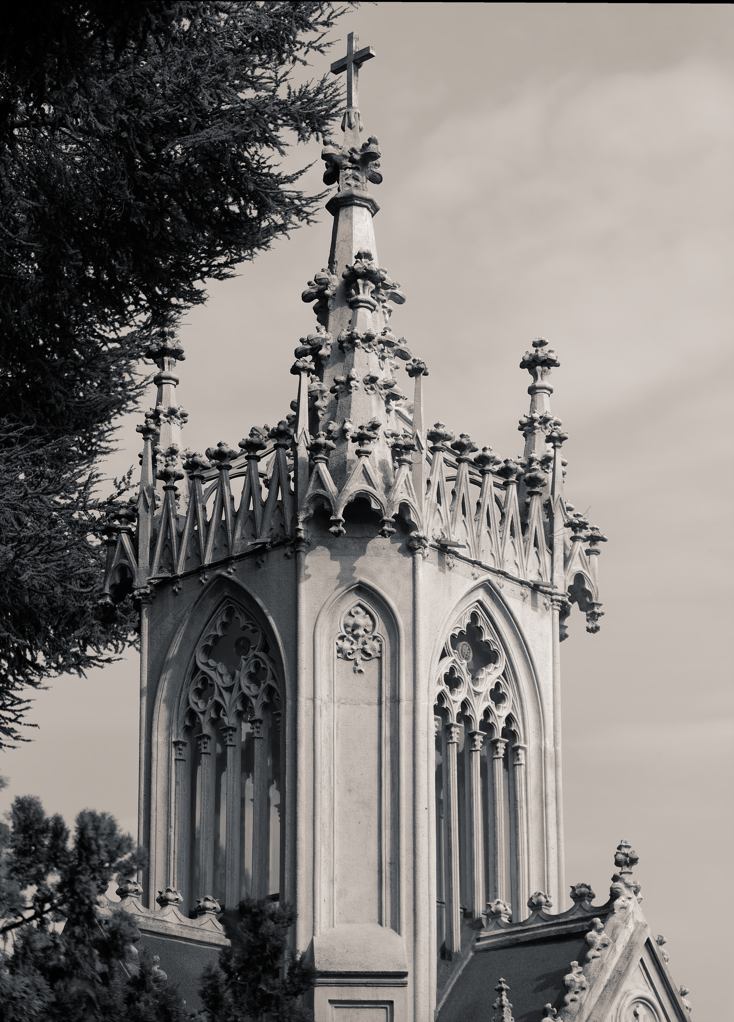 _2240111_DxO