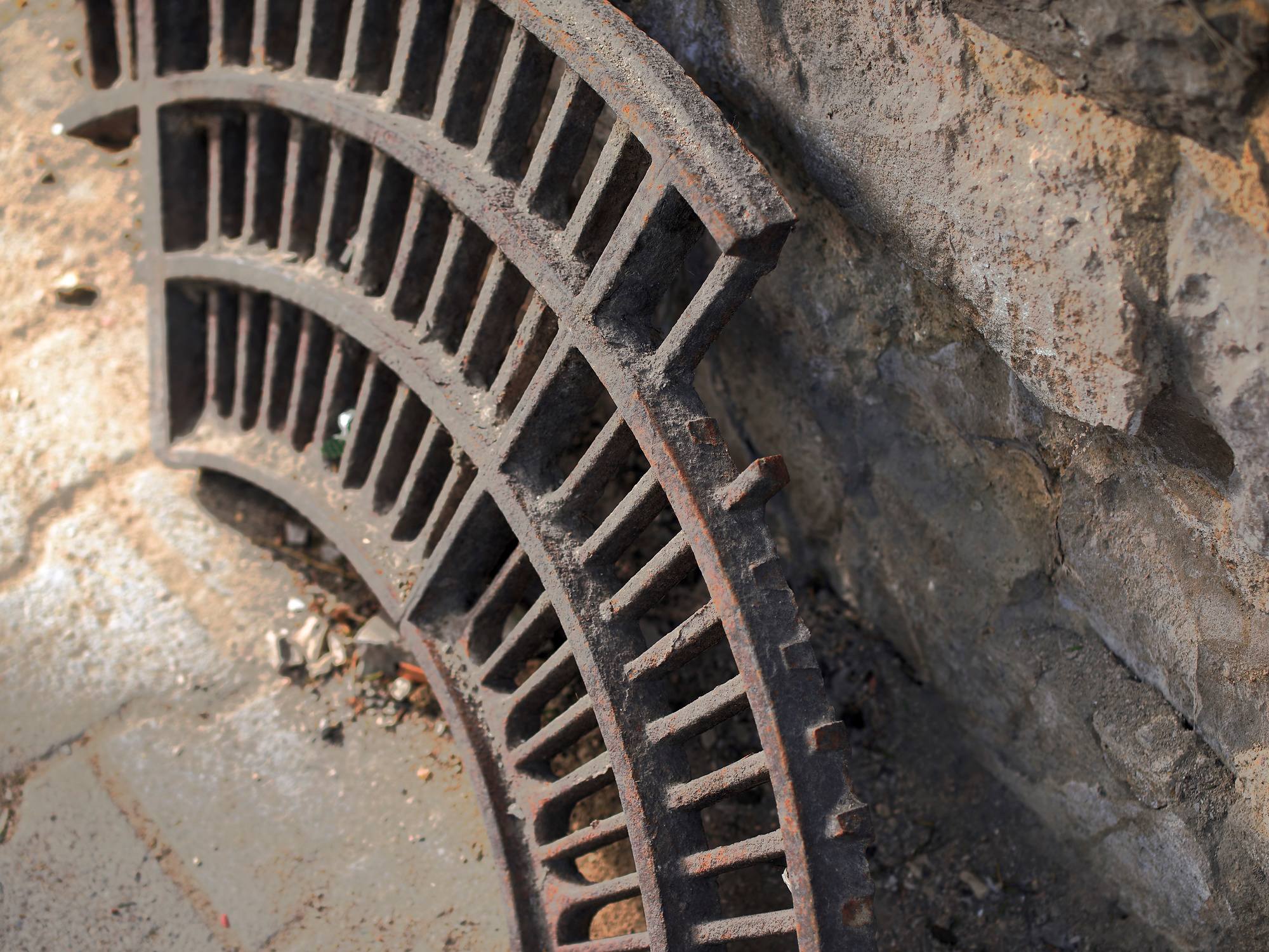 _B250010_DxOabrochado