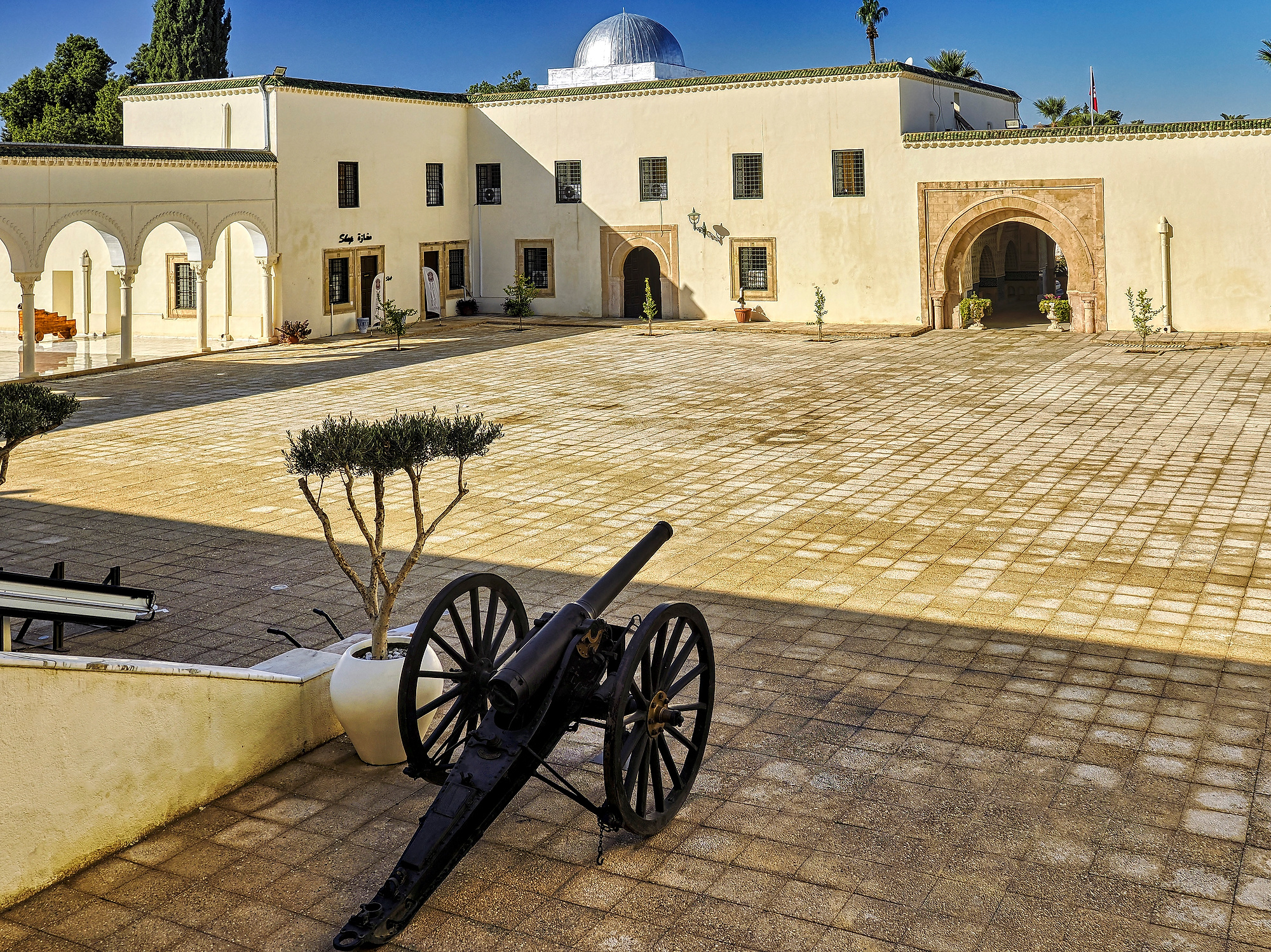 _B300126_DxOVP_Radiant