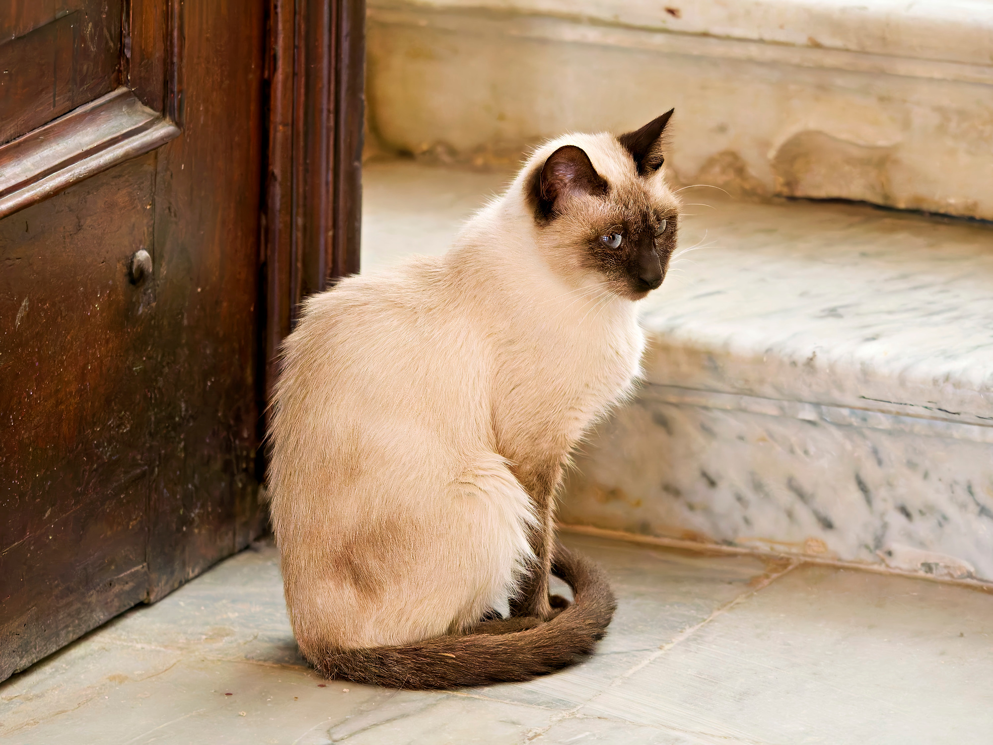 _B270160_DxOabrochado