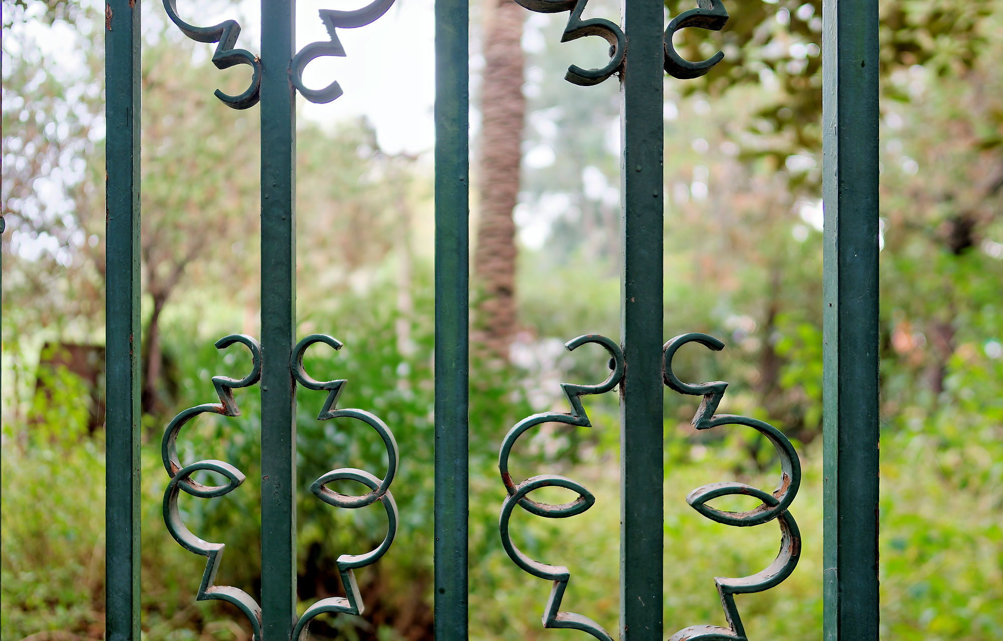 _B290014_DxO_Radiant-1