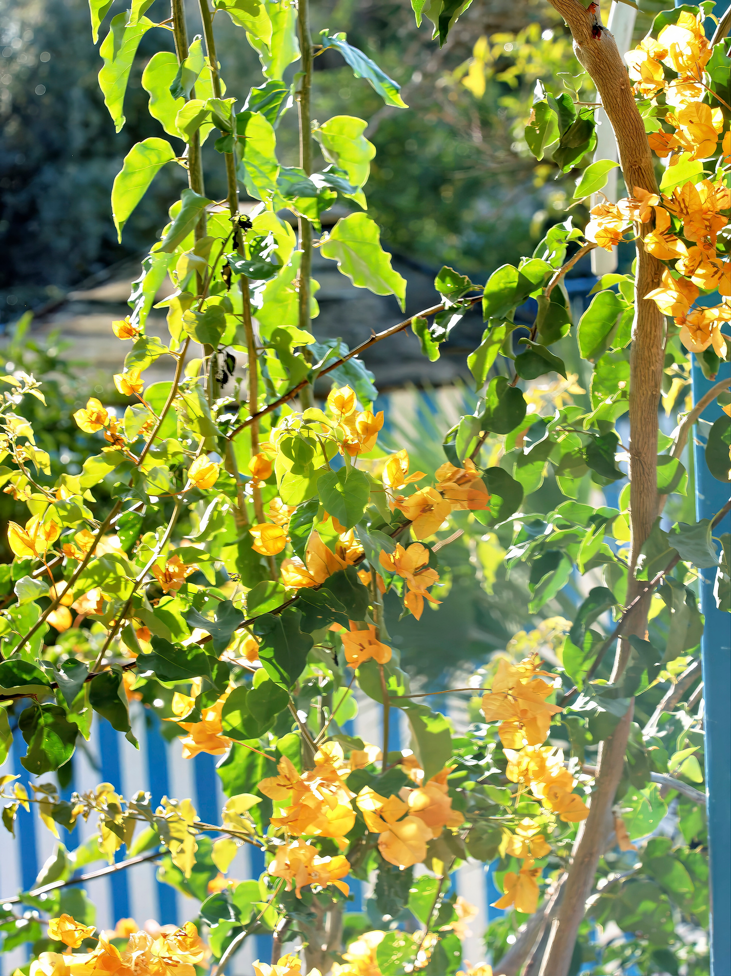 _B290099BW Filrm 06-1