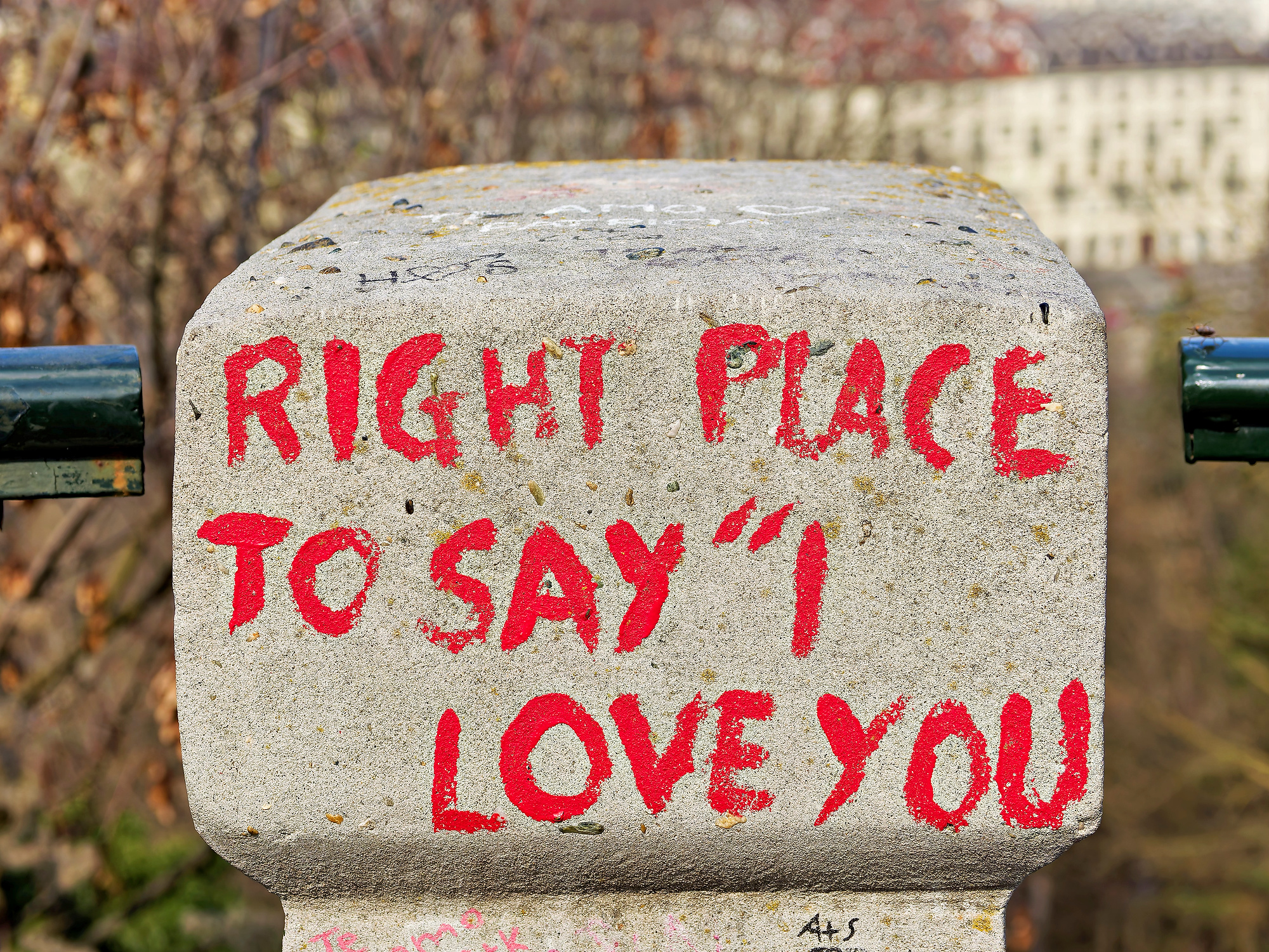 _3120012_DxOfuego rojoA