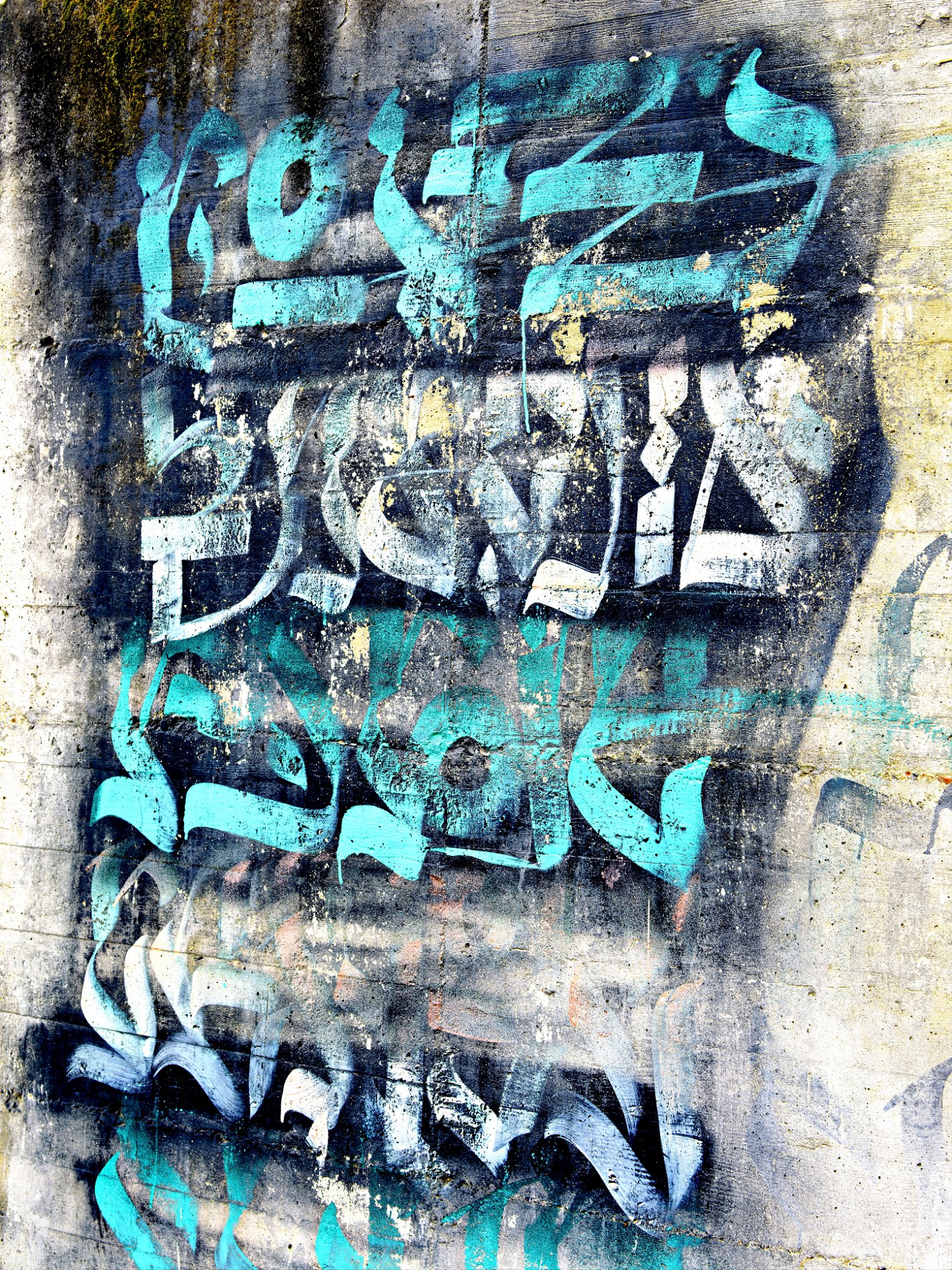 _3110953_DxO_Radiant-1