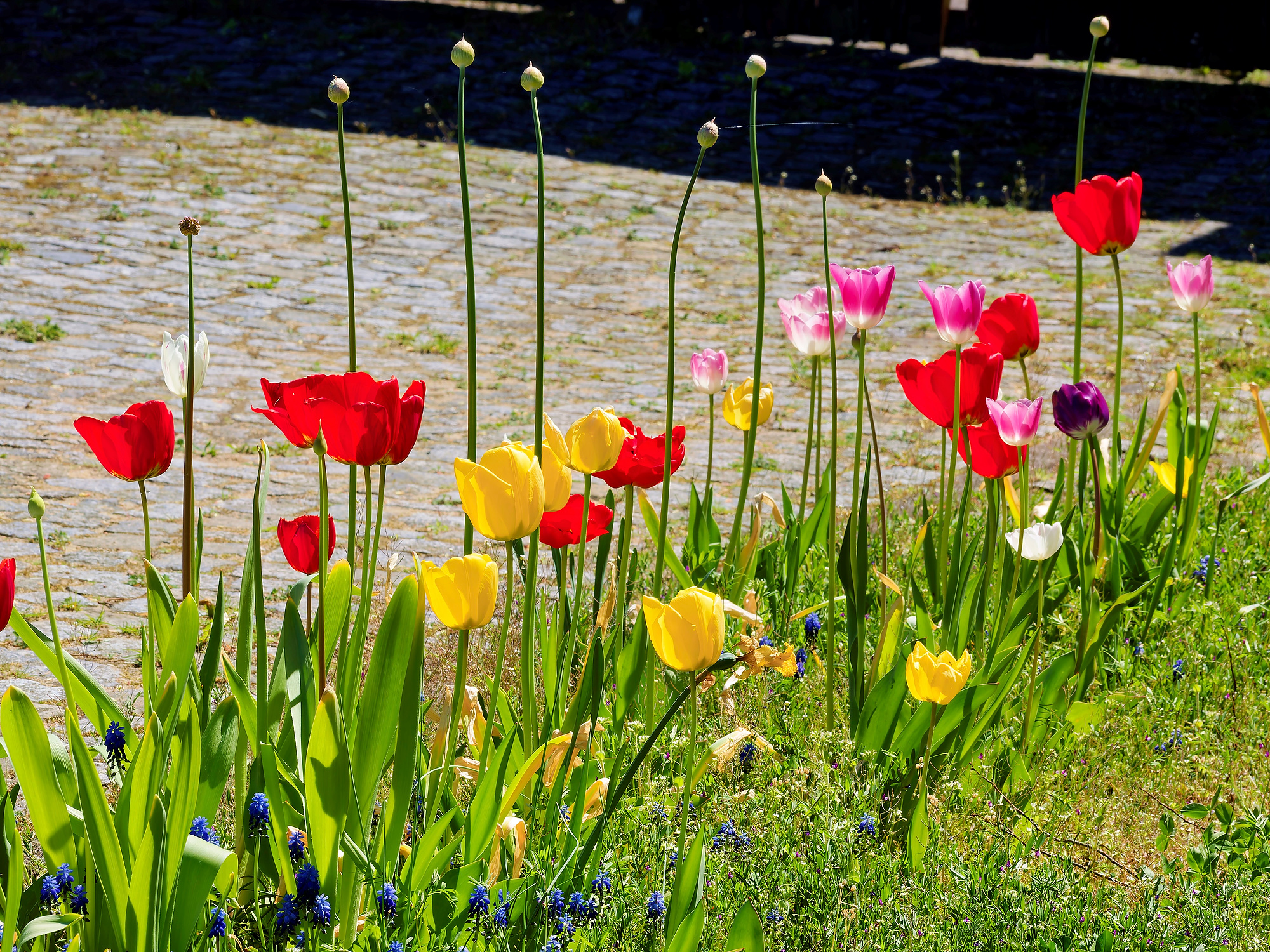 _5010012_DxO_Radiant-1