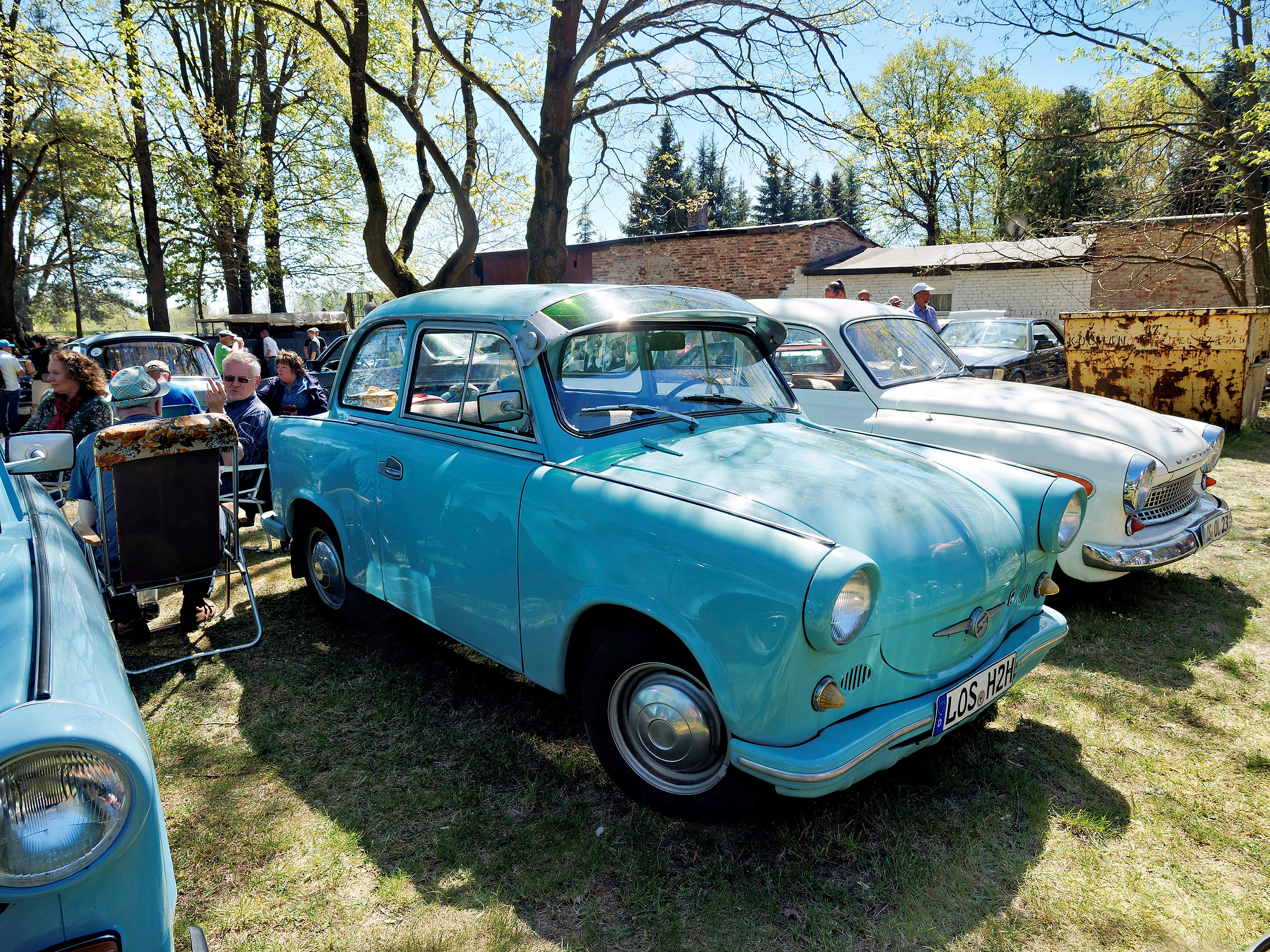 _5010195-DxO_DeepPRIME 3_Radiant