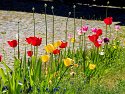 _5010012_DxO_Radiant-1
