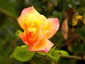 _9200031_DxO 