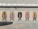 _7060601_DxO_Radiant