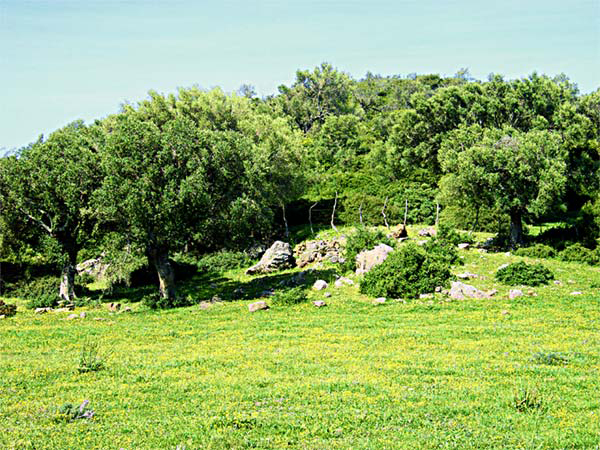 Andalusische-Landschaft,-Ap1
