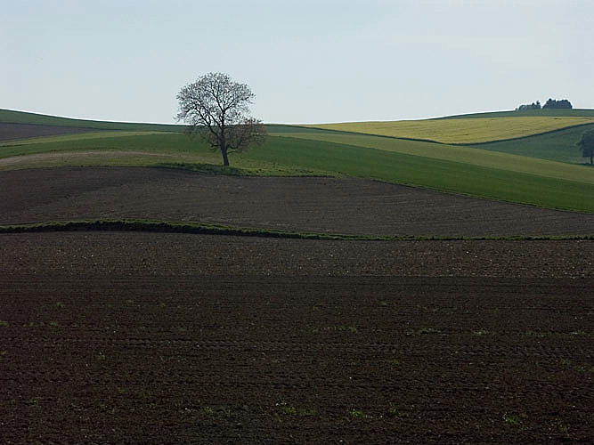 Fruehlingslandschaft,-Baden