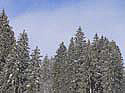 PICT0007 Kopie
